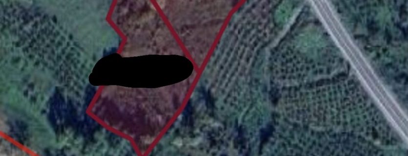 ACİL EMLAKTAN GÜZELYURT MEVKİ ANAYOLA 45 METRE CEPHESİ OLAN ARSA