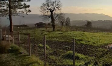 📌 ACİL EMLAKTAN SOĞANLIYÖRÜK KÖYÜ KÖYÜN 500 M UZAKLIĞINDA DOĞA MANZARALI ARSA