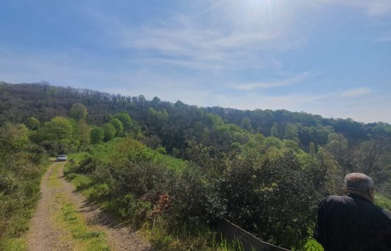 ACİL EMLAKTAN SATILIK ARSA