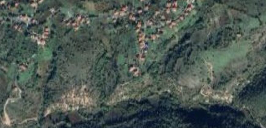 KÜLAH KÖYÜ’NDE ACİL SATILIK YETİŞKİN FINDIK BAHÇESİ